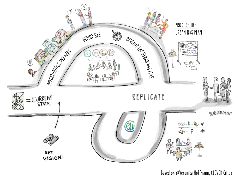 13 NbS roadmap graphic website